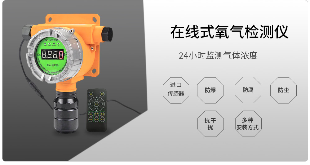ZY100在線(xiàn)式_02.jpg